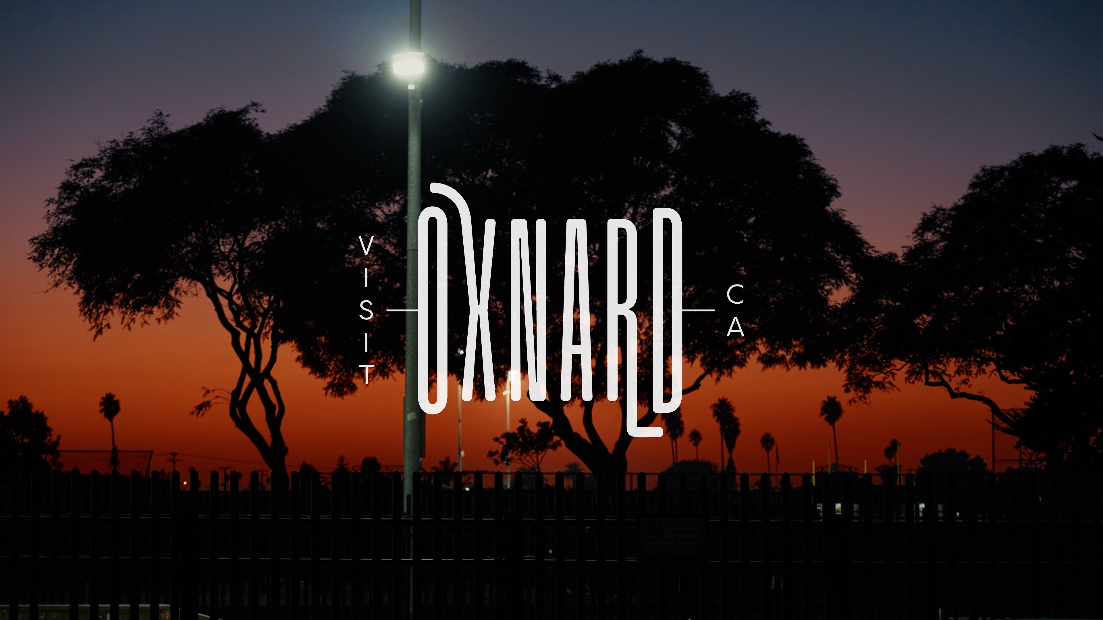 Road trip to Ventura, Part 3: Oxnard. Seals, Swells, and Nardcore