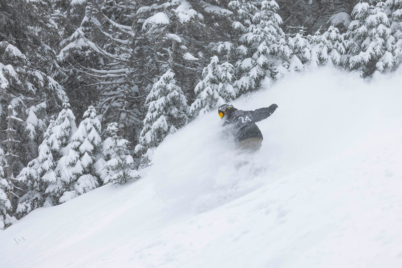 Circuit Freeride Estski / Massif du Sud
