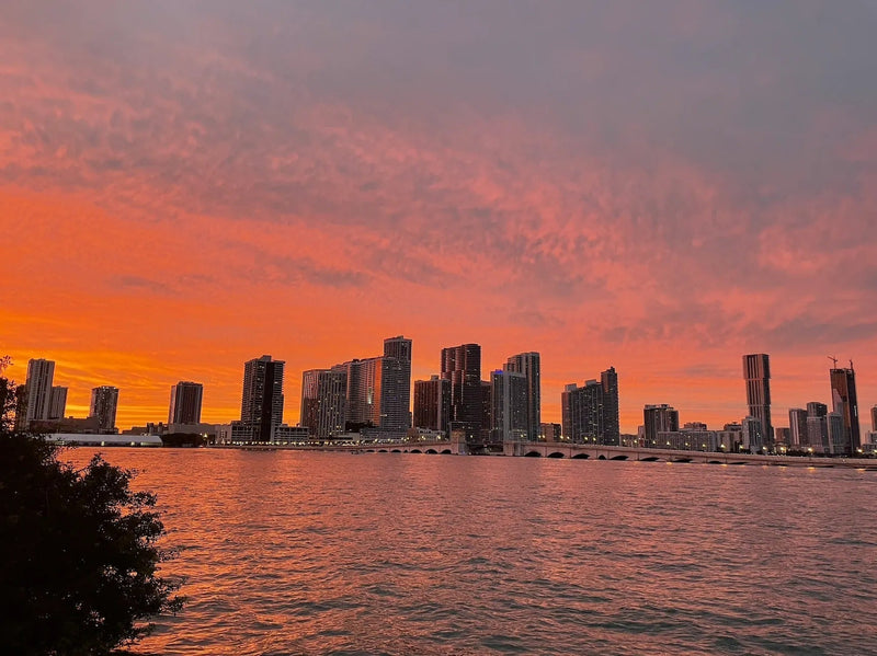 6 best things to do for your skate trip to Miami