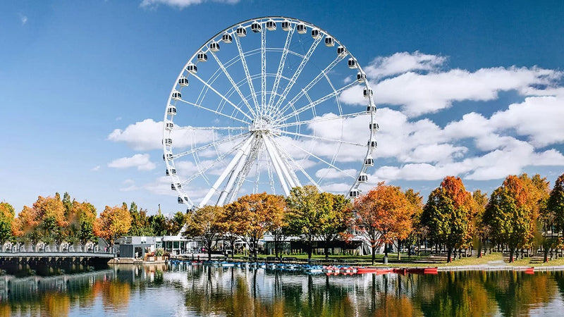 Must-Sees Around JACKALOPE MONTRÉAL 2025