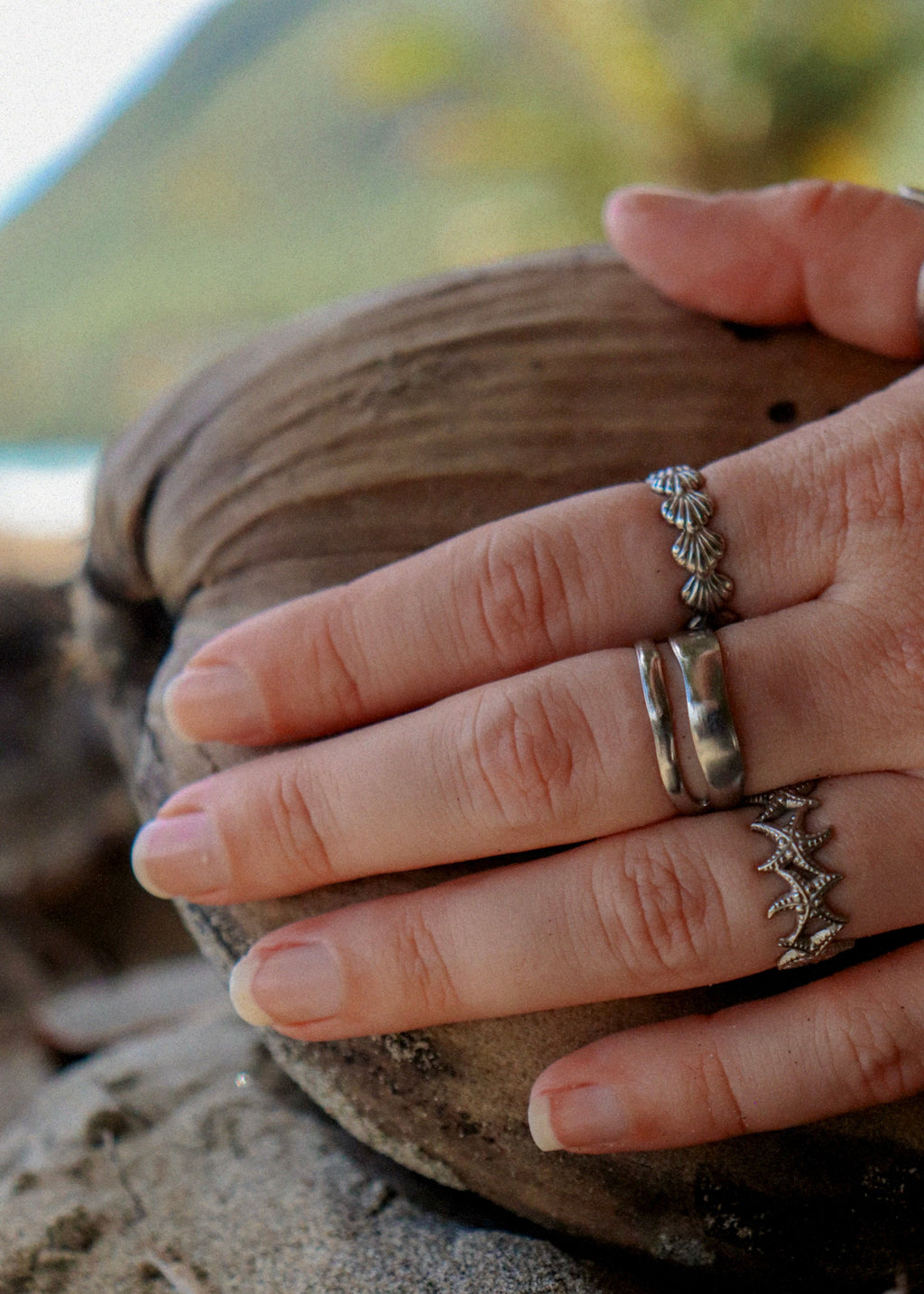 Seashell Ring - adjustable