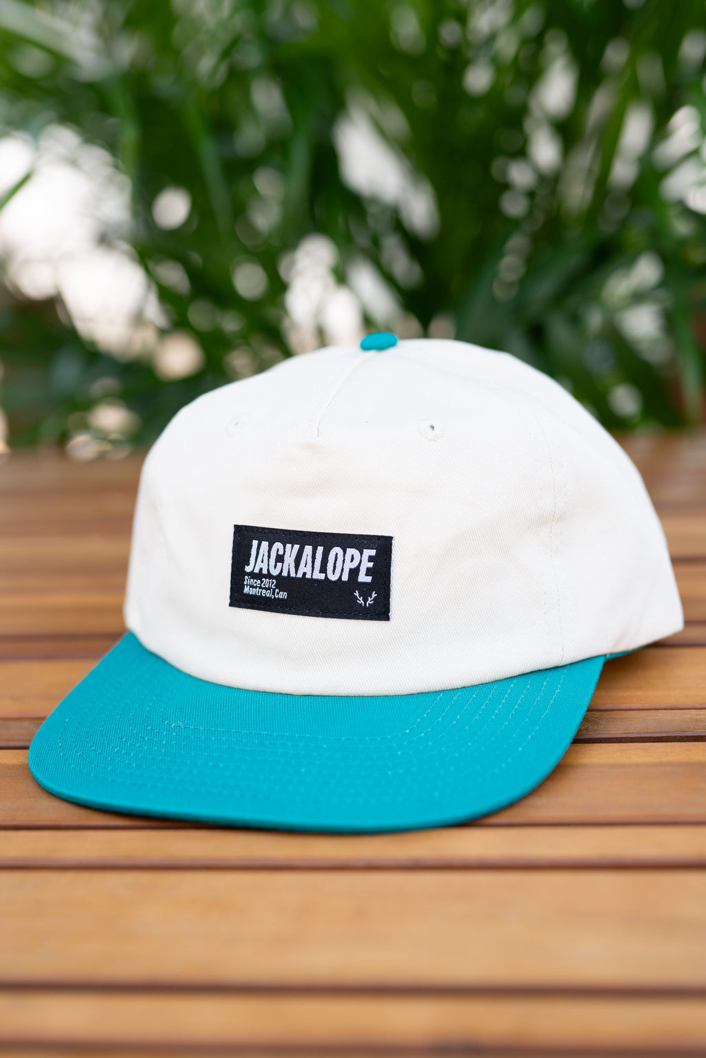 JACKALOPE BLUE SURF CAP