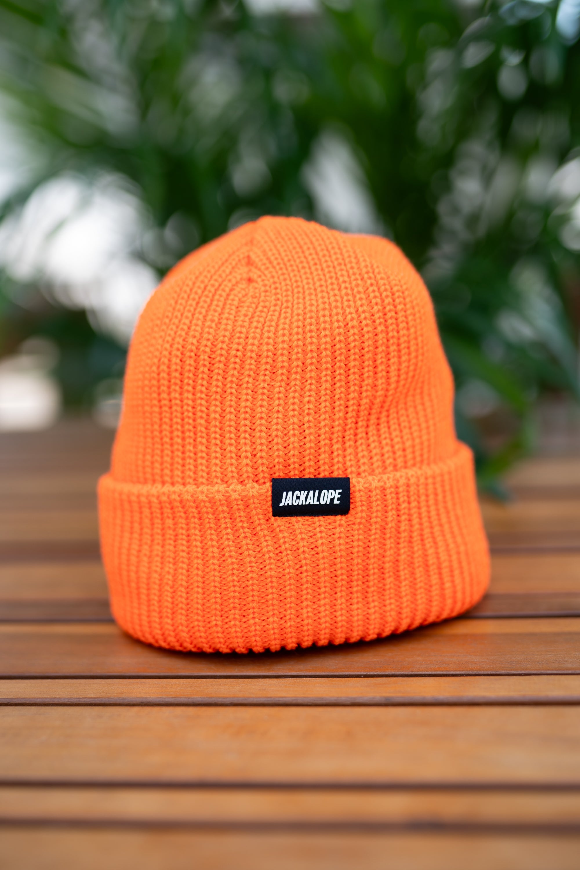 JACKALOPE ORANGE BEANIE