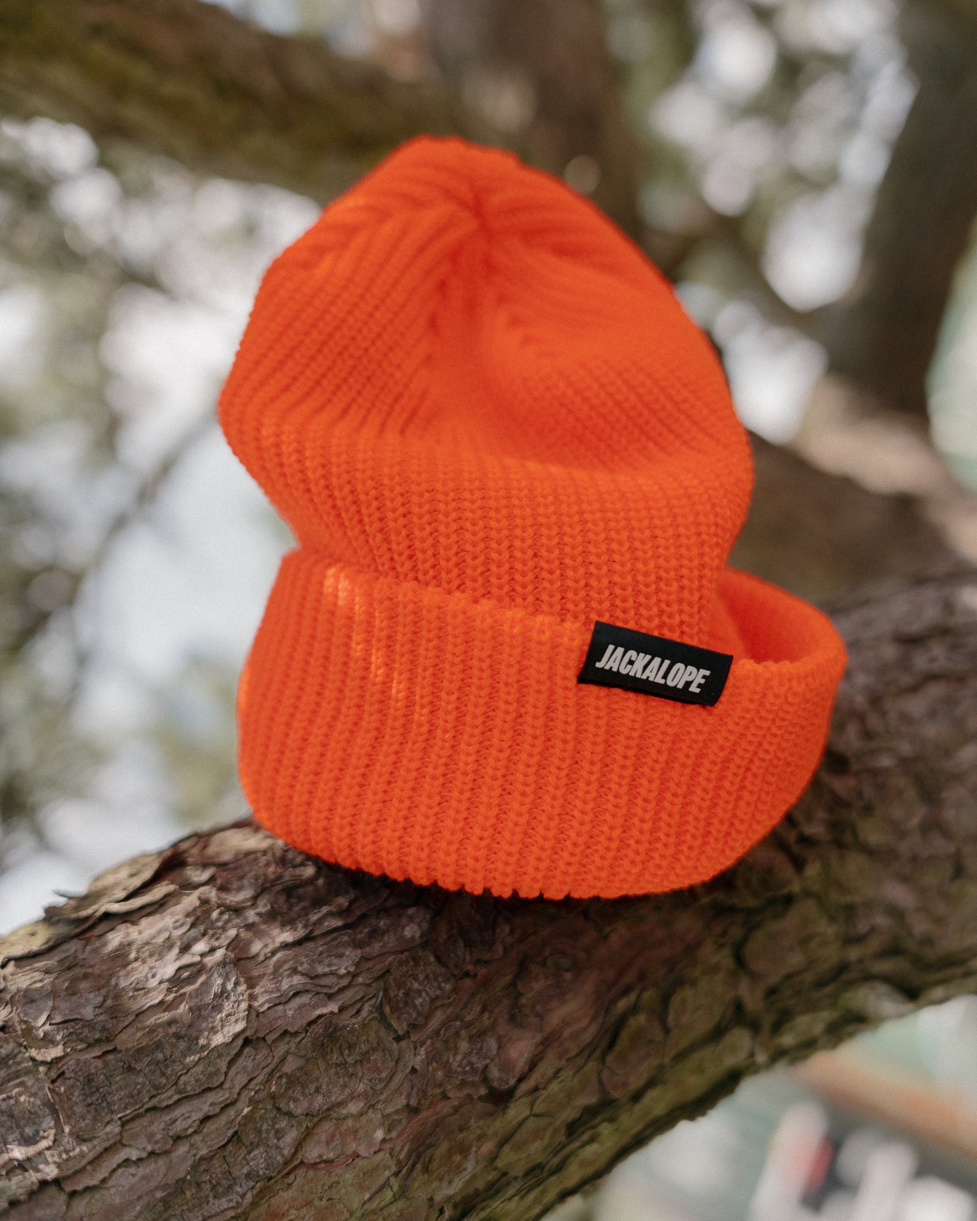 JACKALOPE ORANGE BEANIE