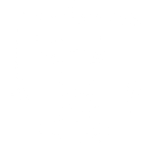 SECURITY